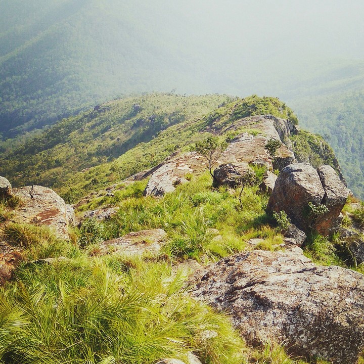Mountain. Green