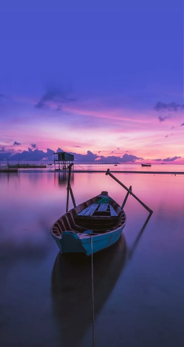 violet