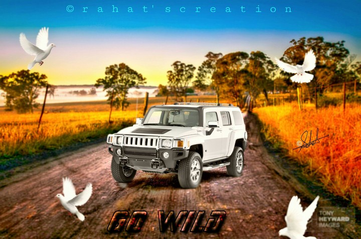 Hummer!