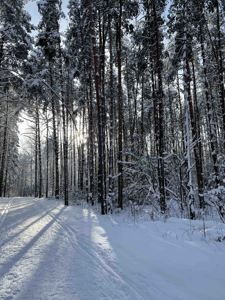 winter