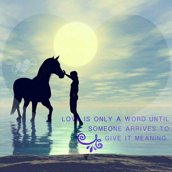MEANING.OF.LOVE