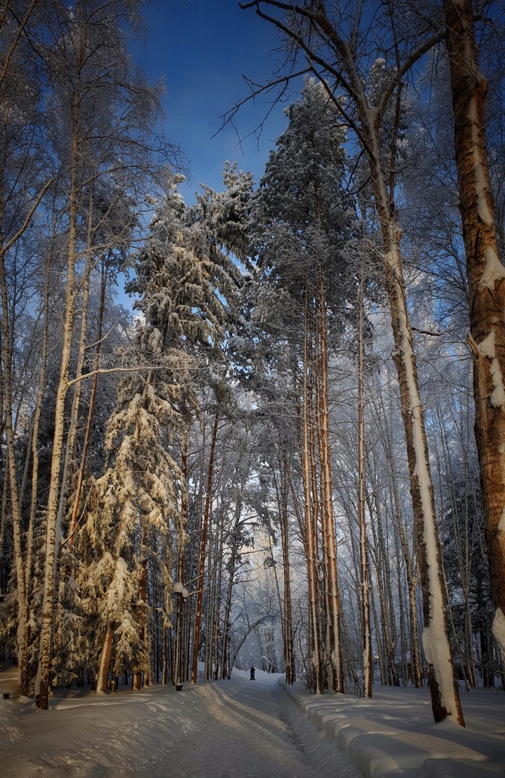 Winter beauty