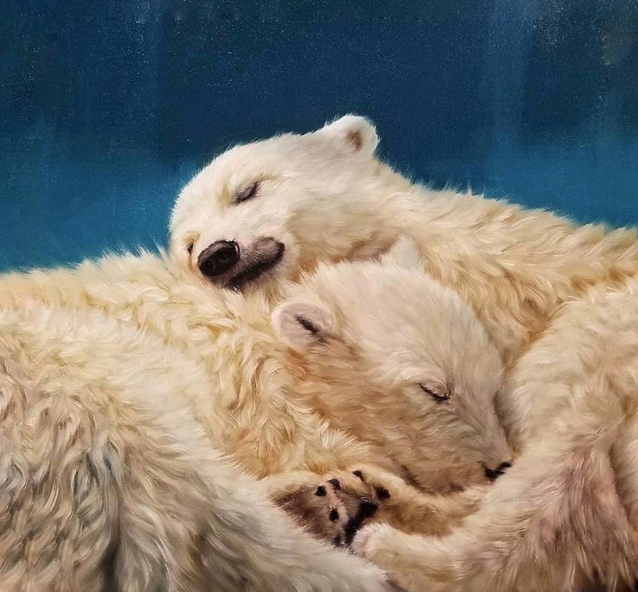 Cubs