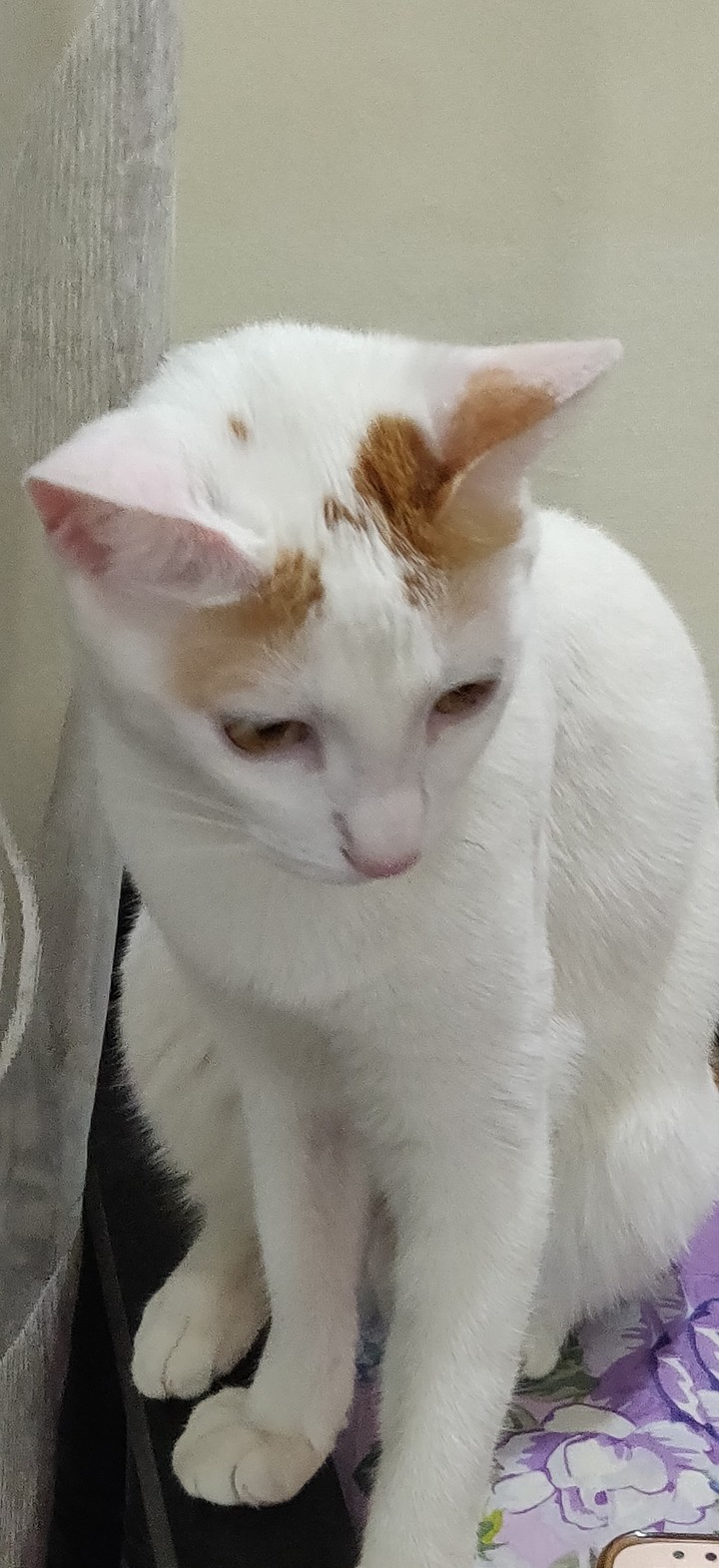 Kiki Love