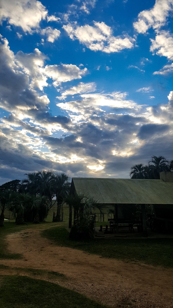 Campo, mi paz☺
