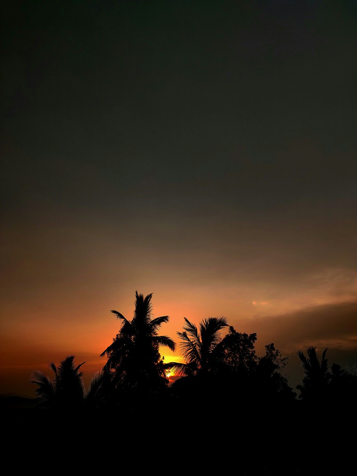 nature
