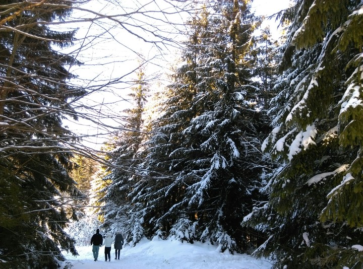 winter