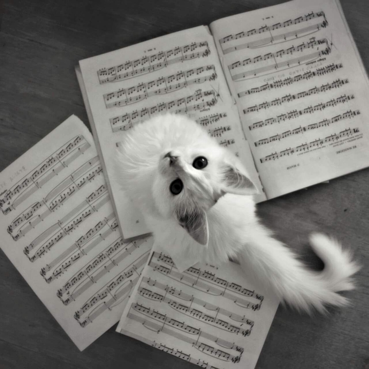 The Life Can Be Music