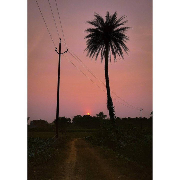 evening view