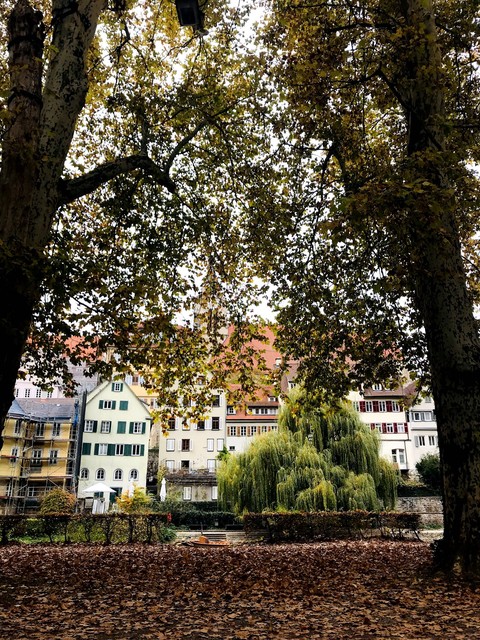 beginning of fall