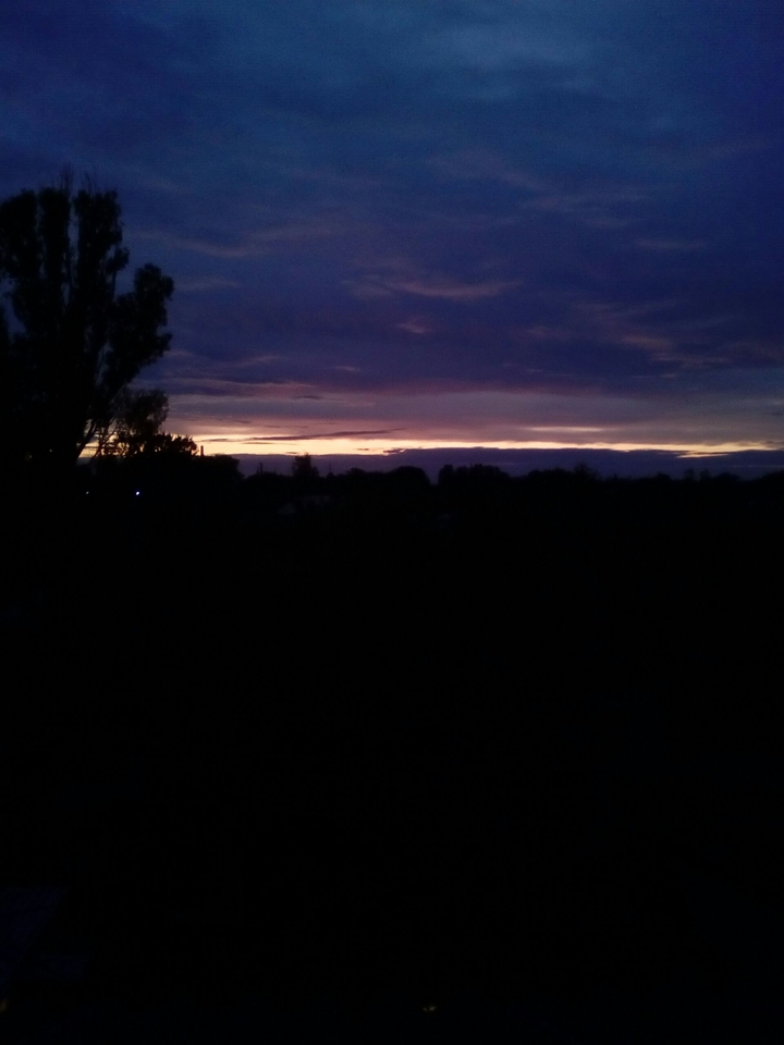 evening