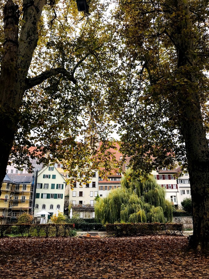beginning of fall