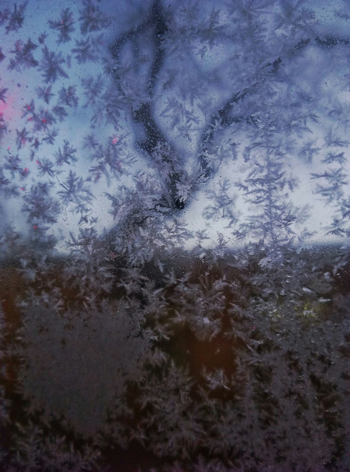 Frost