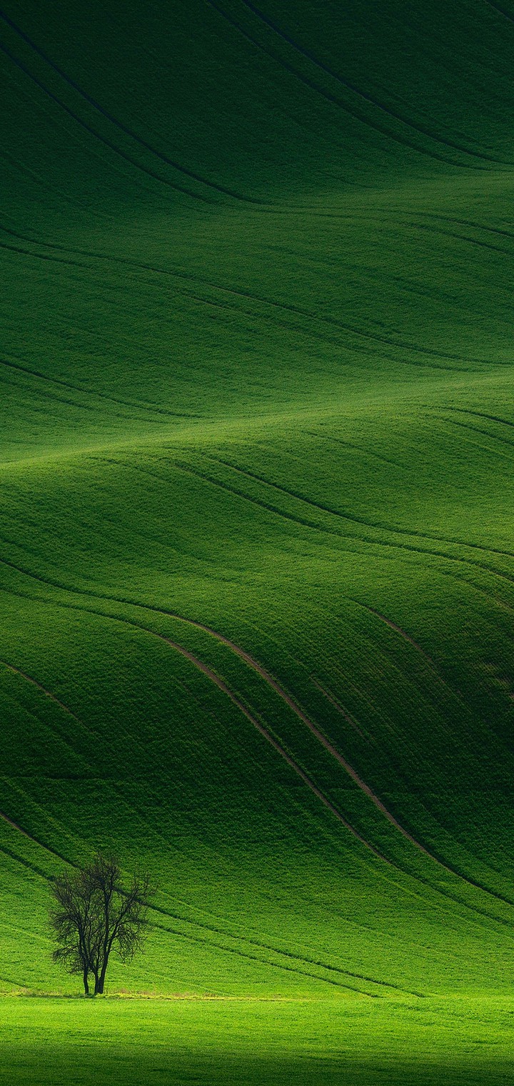 green