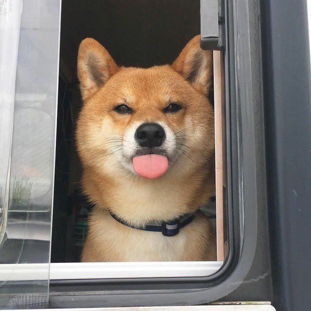 ❤