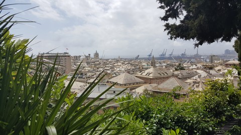 Genoa