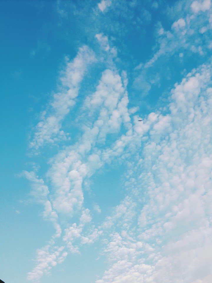 what do you see?