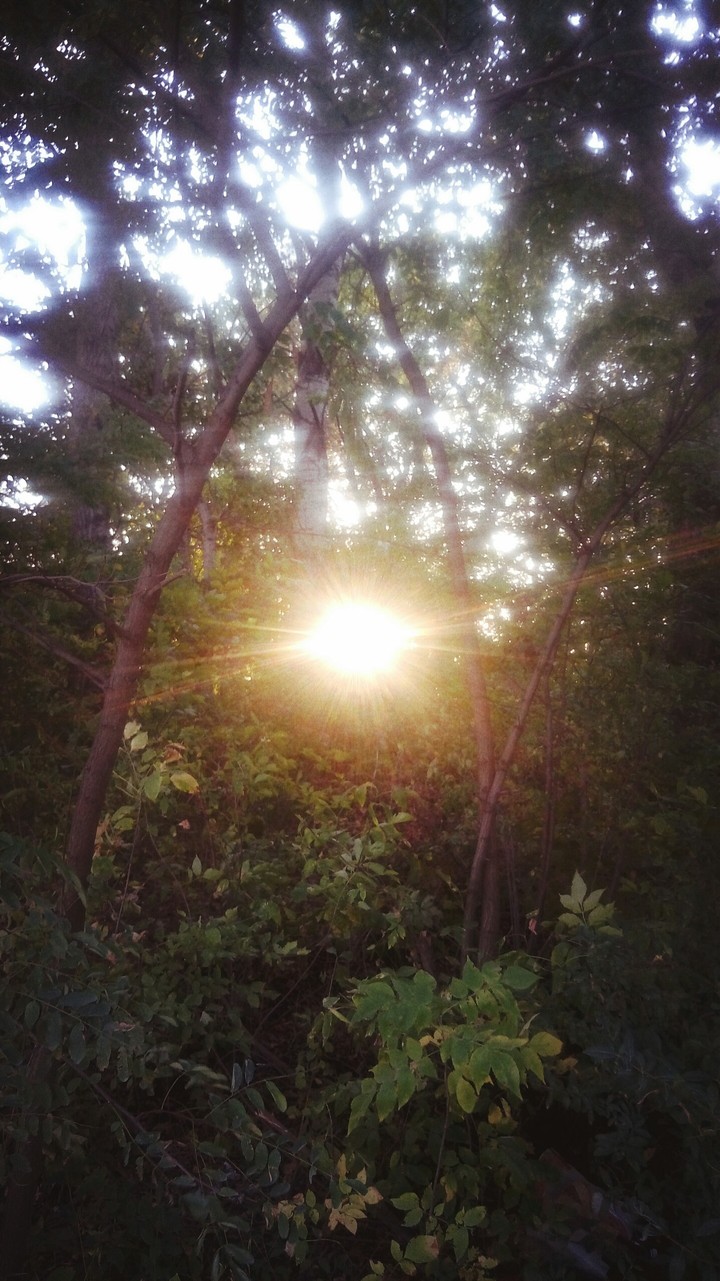 sun