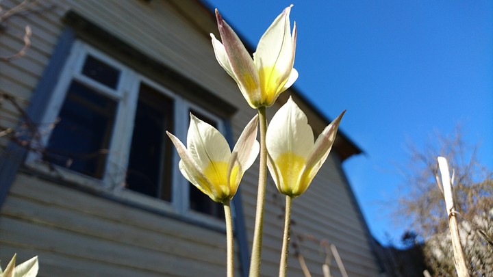Spring is here