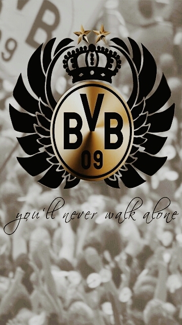 CVDVB