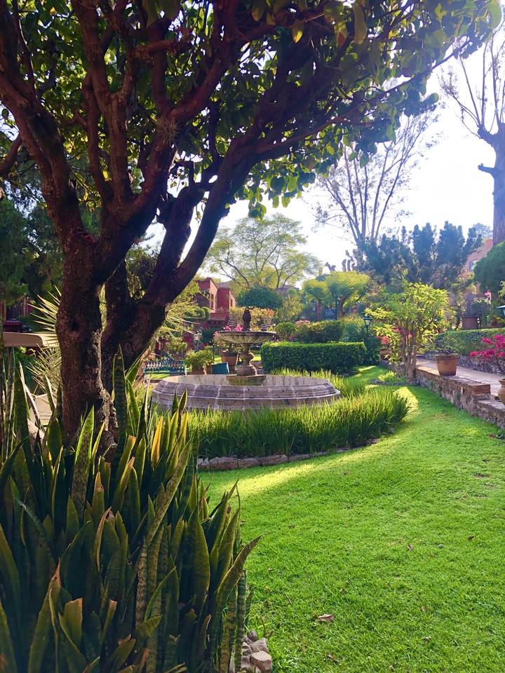 Jardín Edén