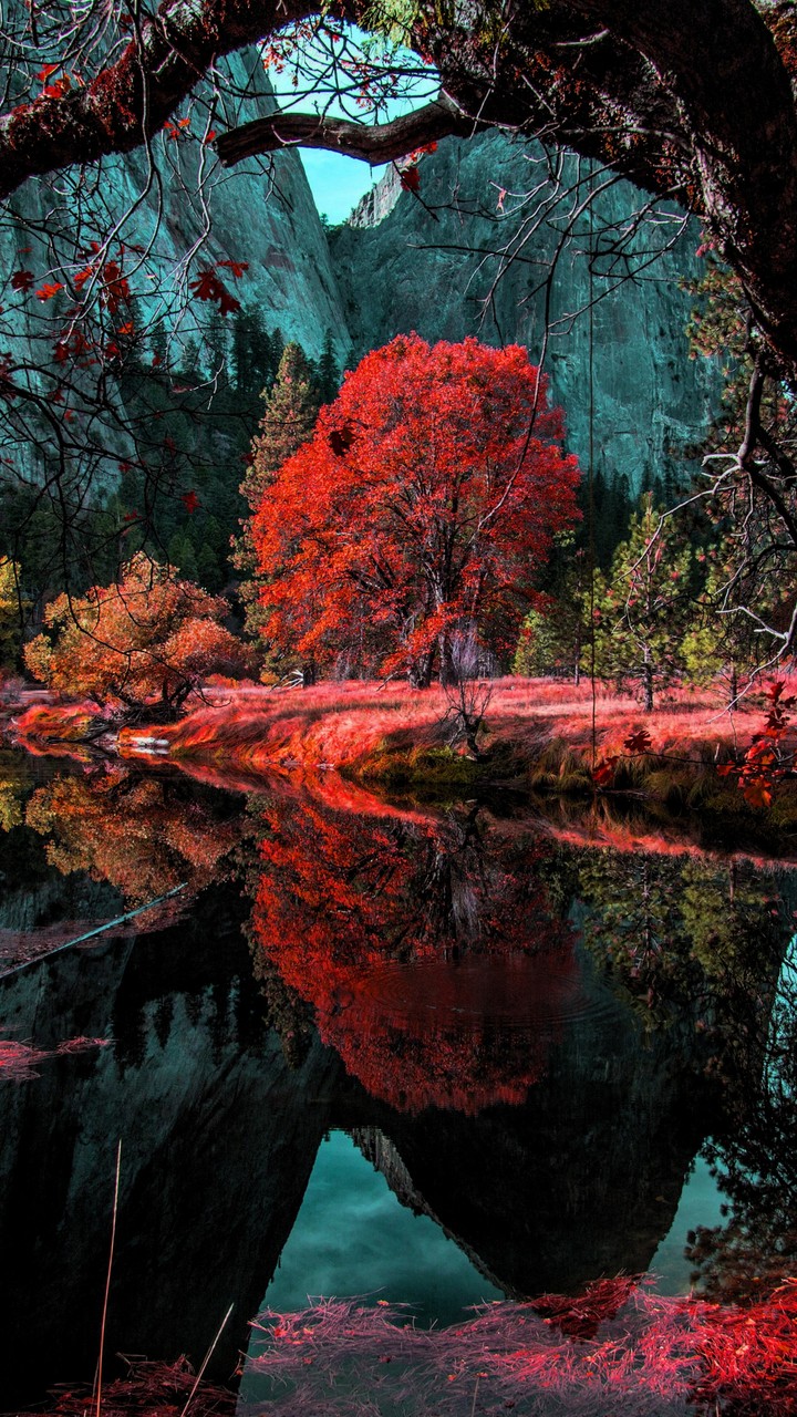 reflection