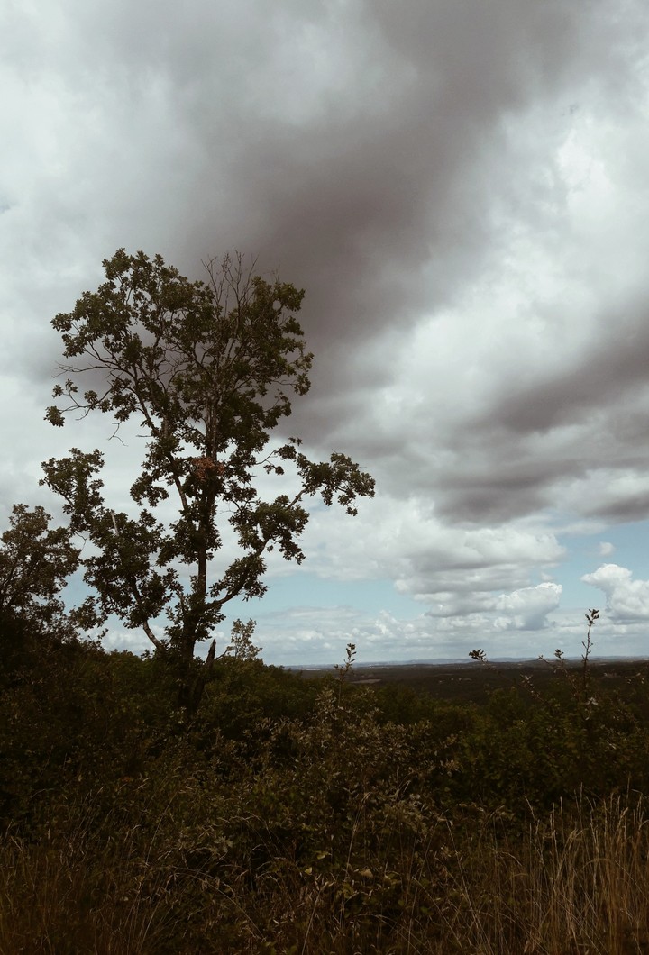 nature