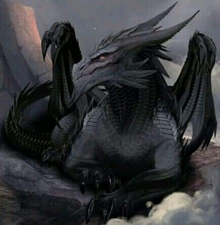 black dragon