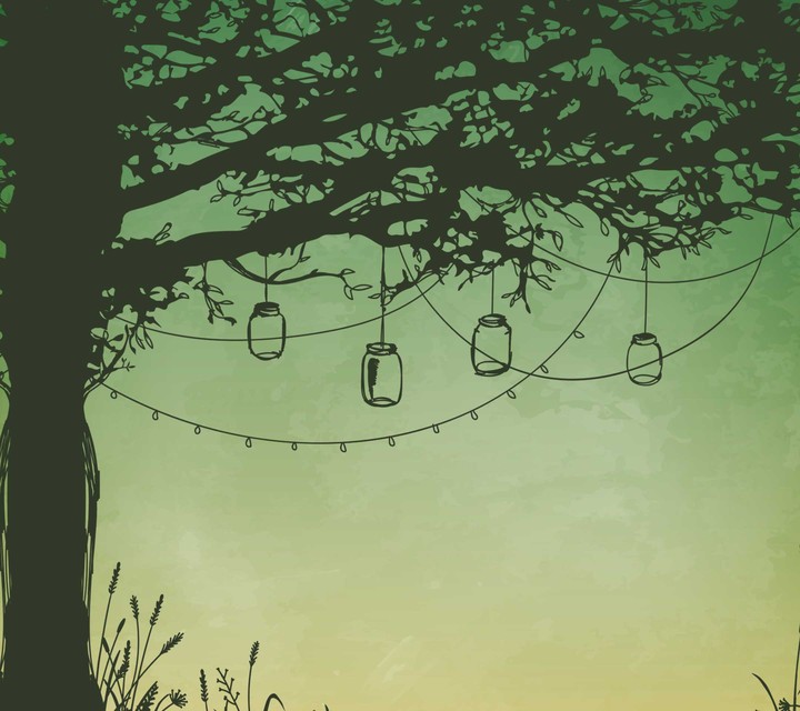 lights in a tree
