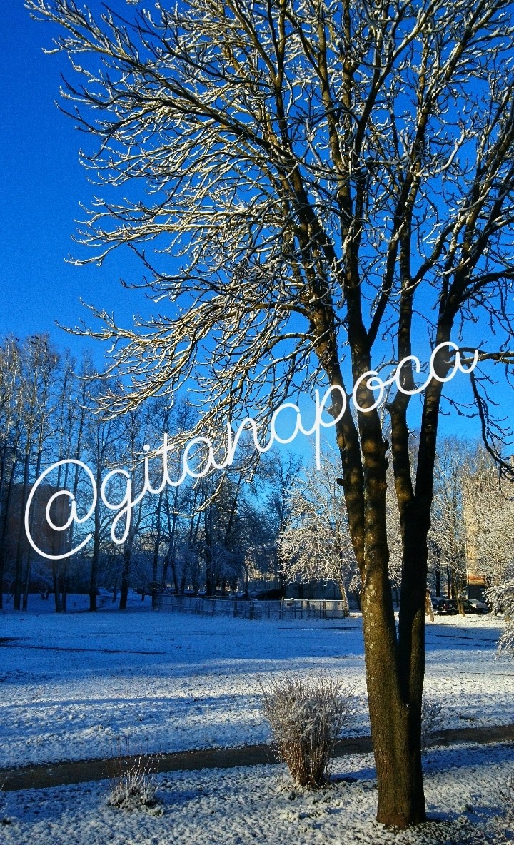 Winter