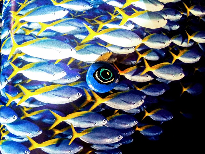 blue