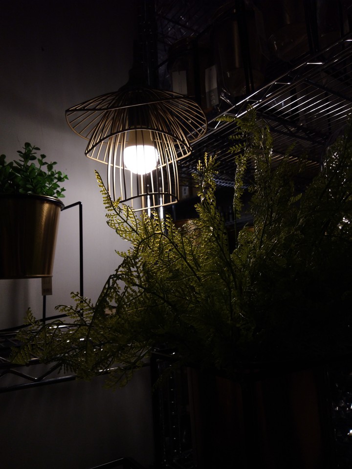 Light