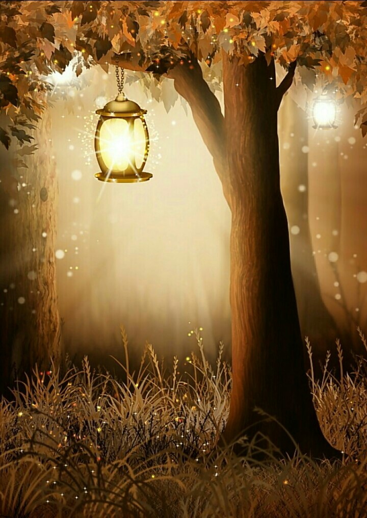 Night of Fireflies.
