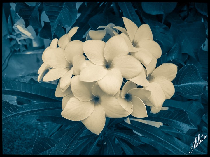 Freshness of Mind