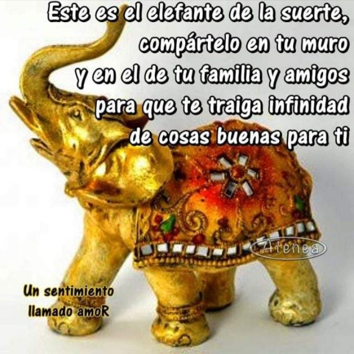 Suerte
