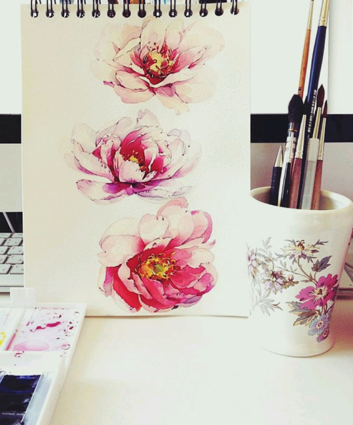 rose