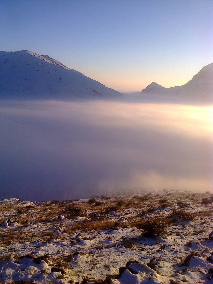fog in the countryside