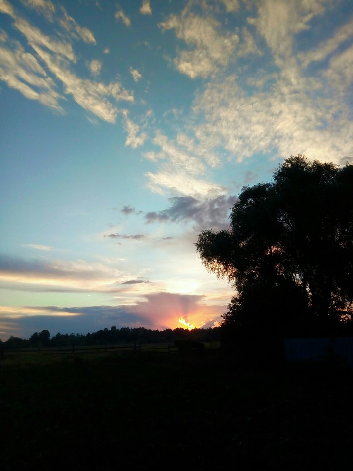Sky