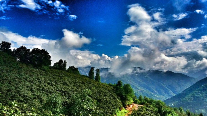 Giresun