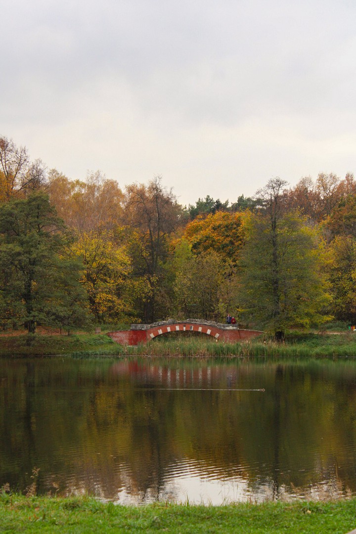 Lake in the park