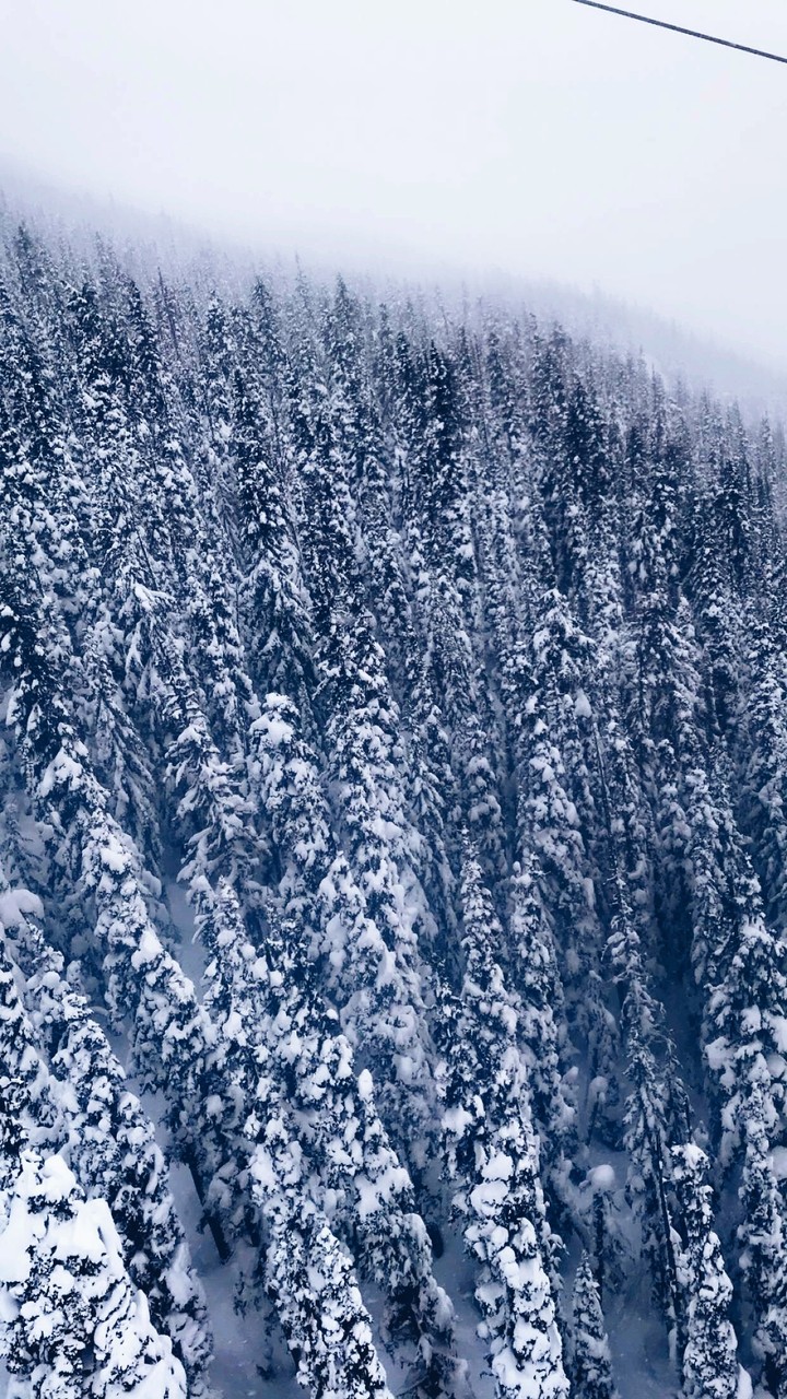 Whistler, Canada