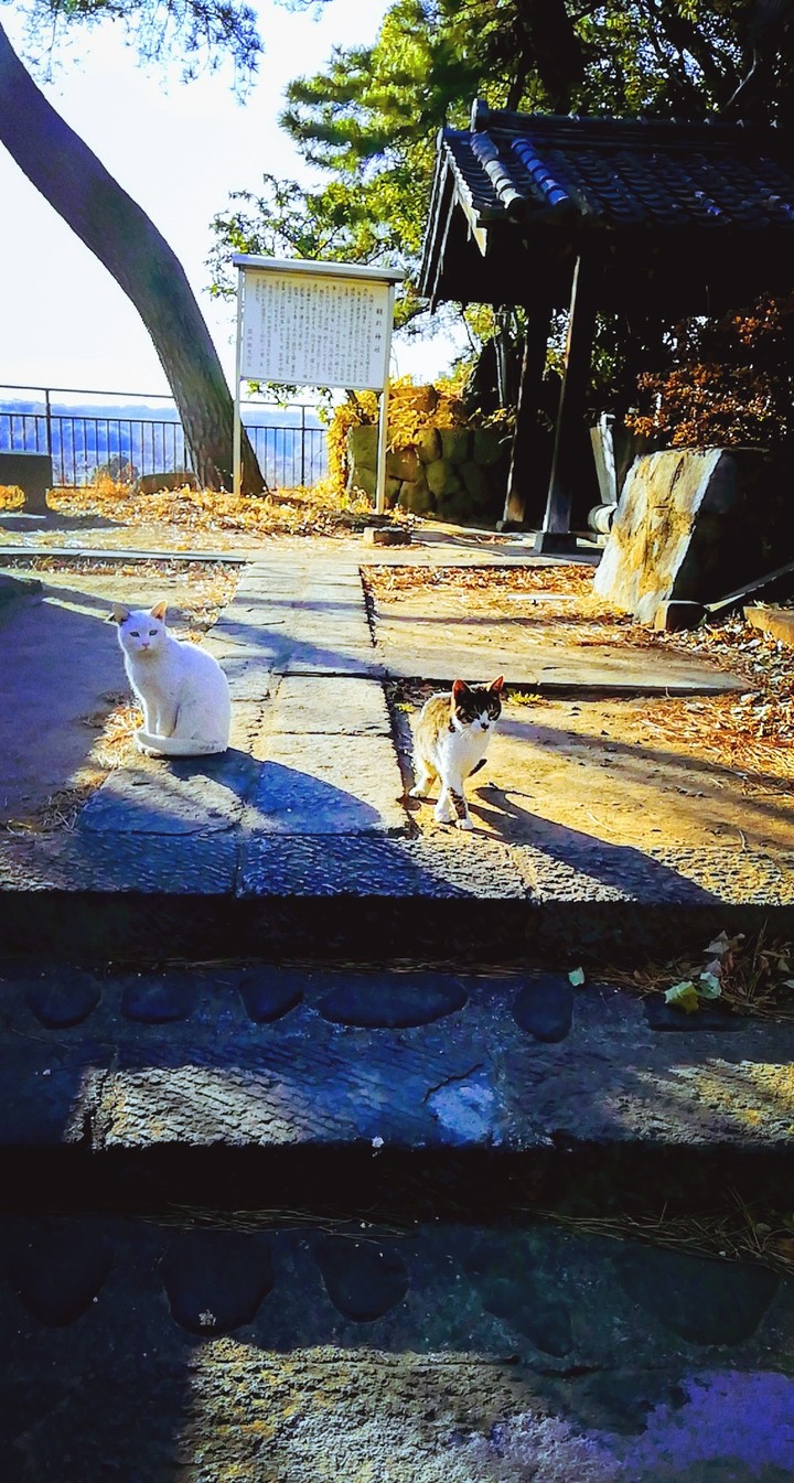 ママと一緒