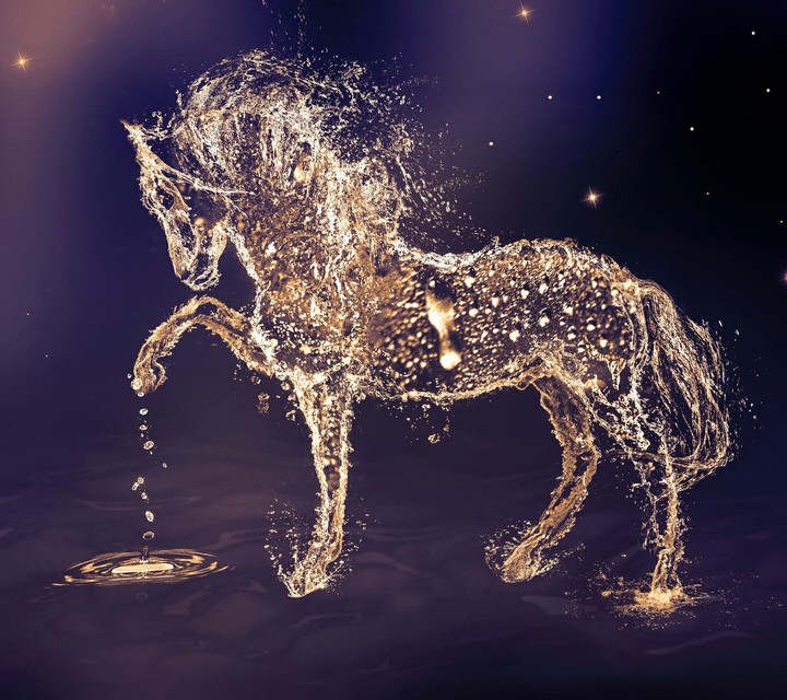Cavalo da água