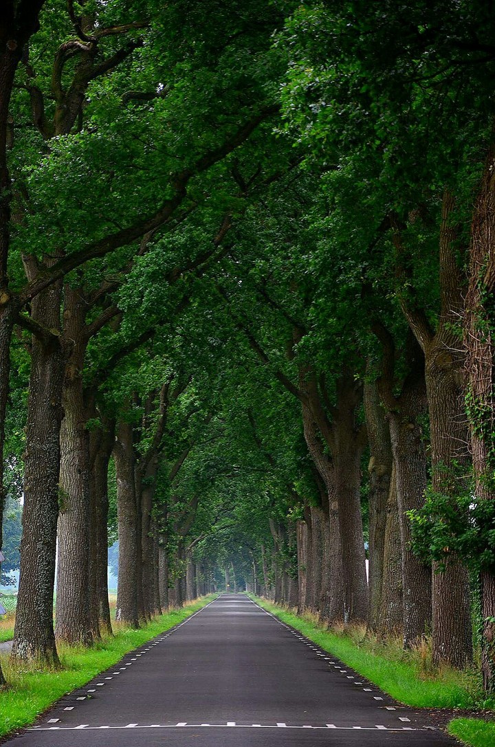 Holland