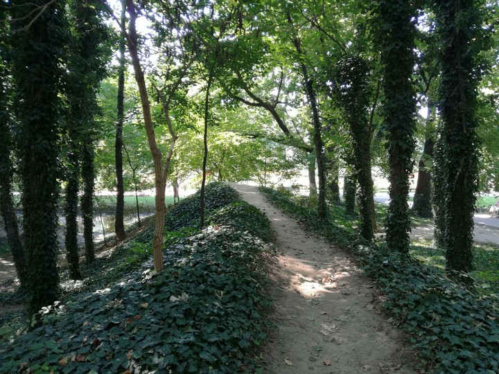Peaceful shadows