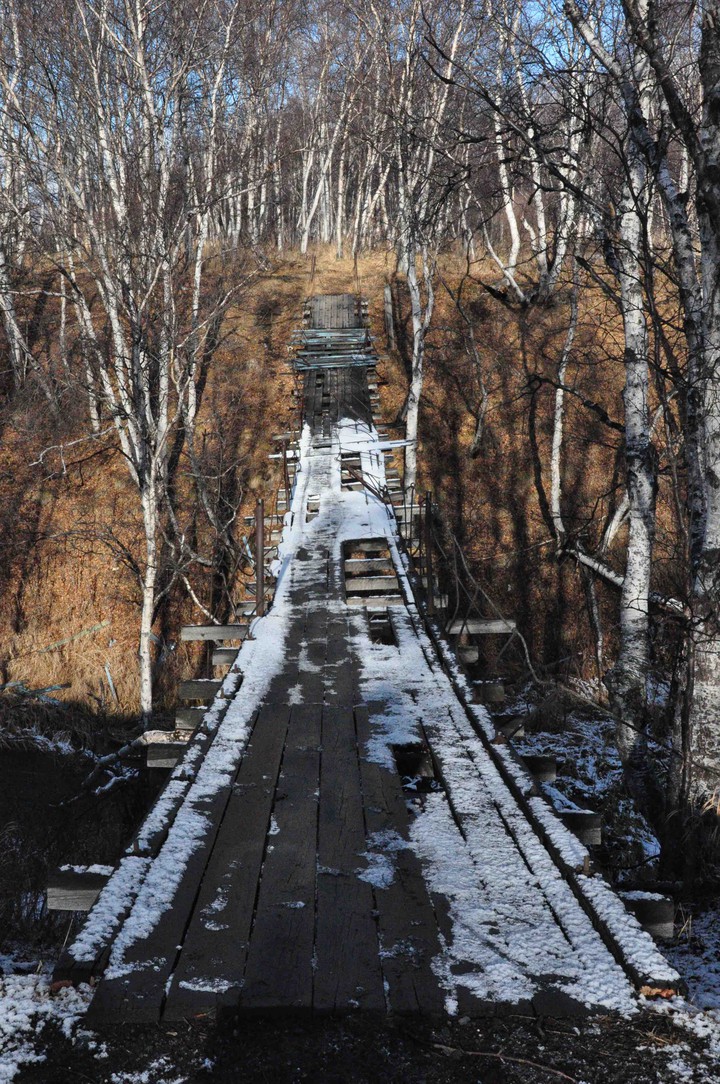 bridge