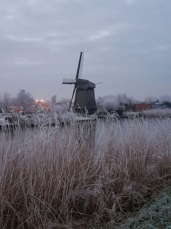 dutch winter