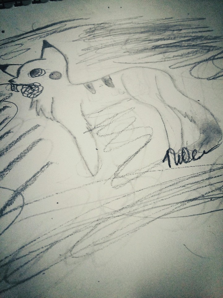drawing
