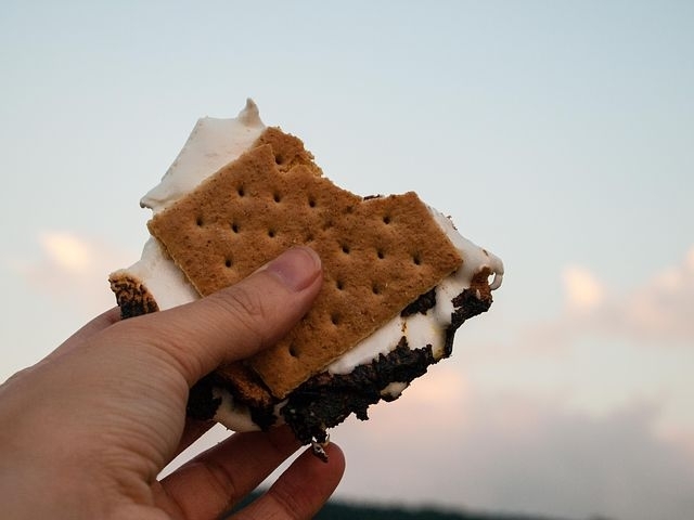 ICE -CREAM SANDWICH ❤️