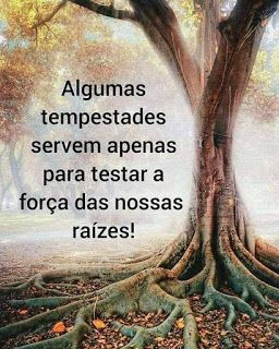 ~ Citações ~